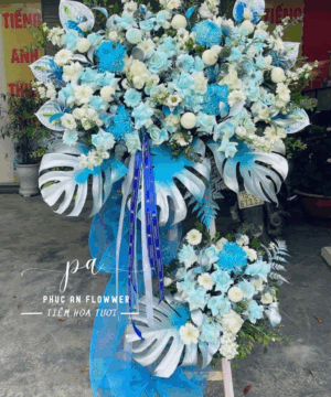 Thanh Khởi An Nhiên