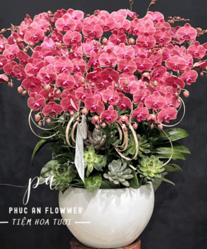 Phú Quý Viên Mãn