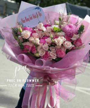 Nắng Mai Dịu Dàng