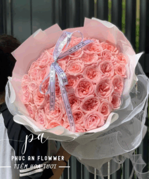 Hương Tình Gửi Trao