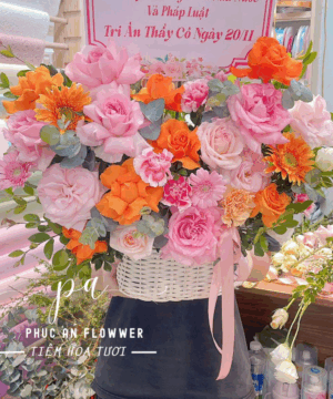 giỏ hoa tươi tri ân thầy cô, giỏ hoa hồng cam hồng phấn đẹp, giỏ hoa chúc mừng sang trọng, giỏ hoa tặng 20/11 ý nghĩa, giỏ hoa đồng tiền và hoa hồng đẹp, giỏ hoa tươi nhiều màu nổi bật, giỏ hoa chúc mừng tinh tế