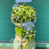 kệ hoa khai trương tông xanh sang trọng hoa hồng xanh hoa cúc trắng hiện đại chúc mừng khai trương phát đạt – Hoa Tươi Phúc An