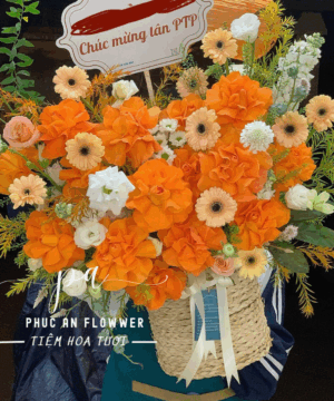 giỏ hoa chúc mừng tân gia màu cam, giỏ hoa khai trương tông cam nổi bật, giỏ hoa chúc mừng sang trọng hiện đại, giỏ hoa đồng tiền và hoa cam rực rỡ, giỏ hoa tươi chúc mừng đẹp, giỏ hoa khai trương cao cấp, giỏ hoa tươi phong cách tự nhiên