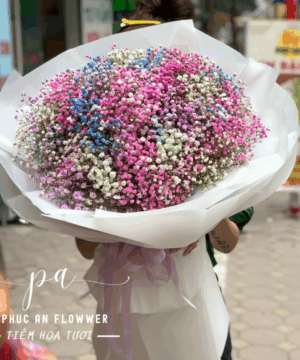 Bó hoa baby nhiều màu cao cấp, hoa baby nhuộm pastel, hoa sinh nhật dễ thương, hoa tặng bạn gái ngọt ngào, bó hoa baby khổng lồ, hoa chúc mừng ấn tượng