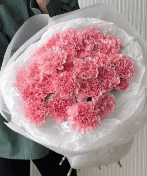 Bó hoa cẩm chướng hồng pastel, hoa tặng sinh nhật mẹ, bouquet hoa hồng phấn nhẹ nhàng, hoa cẩm chướng biểu tượng yêu thương và biết ơn