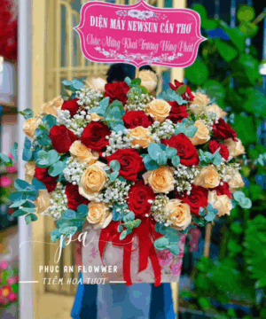 giỏ hoa hồng đỏ đẹp, giỏ hoa khai trương sang trọng, giỏ hoa hồng đỏ kem cao cấp, giỏ hoa chúc mừng khai trương, giỏ hoa tươi sang trọng, giỏ hoa hồng đỏ nổi bật, giỏ hoa chúc mừng thành công, giỏ hoa khai trương đẹp