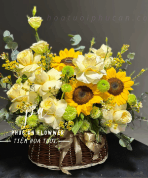 Giỏ hoa hướng dương phối hoa hồng vàng và lan vàng đẹp