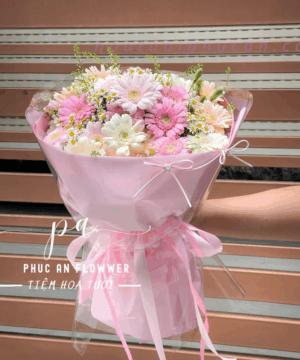 bó hoa đồng tiền hồng pastel nhẹ nhàng