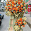 kệ hoa khai truong tông cam