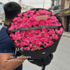 bó hoa hồng chùm hồng sophia