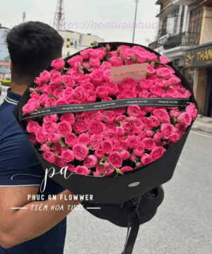 bó hoa hồng chùm hồng sophia