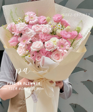 bó hoa đồng tiền