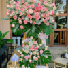 kệ hoa khai trương hoa hồng